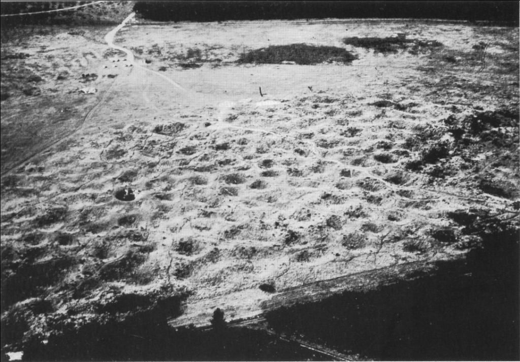 Luftaufnahme vom Pingenfeld Grime's Grave