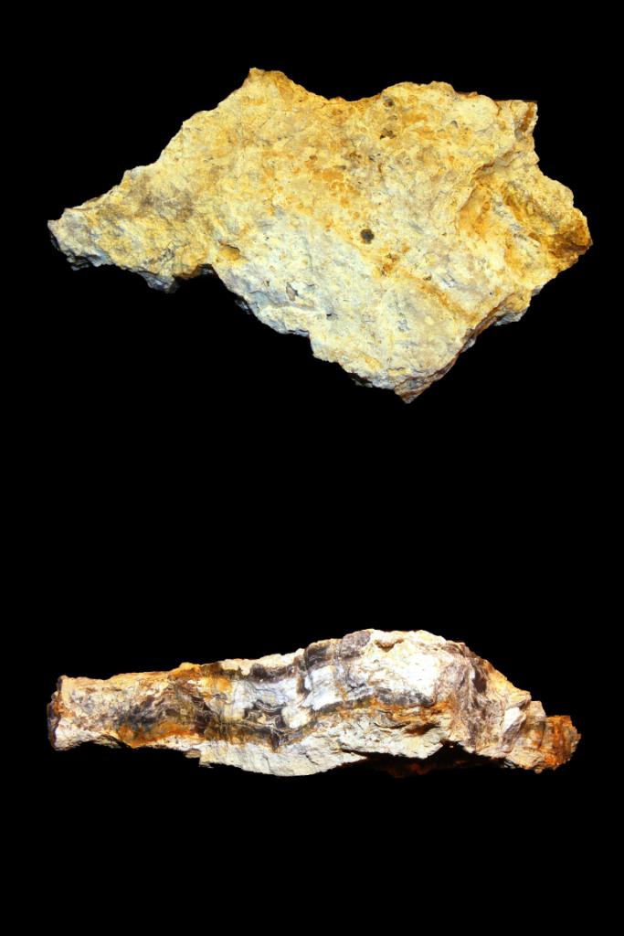 Muschelkalkhornstein "Typ Trigonodus" (Riedmatt "B34", Baden-Württemberg, Deutschland)